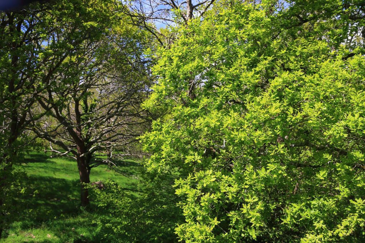 Aux Arbres Chanteurs Ploulech Eksteriør bilde